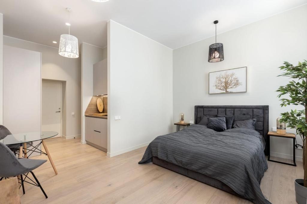 Kalnina Street Studio Apartment Рига Экстерьер фото